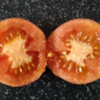 ciencia-adca-articulo