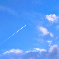 conciencia-adca-articulo