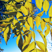 libertad-interior-adca