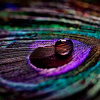 autorealizacion-adca